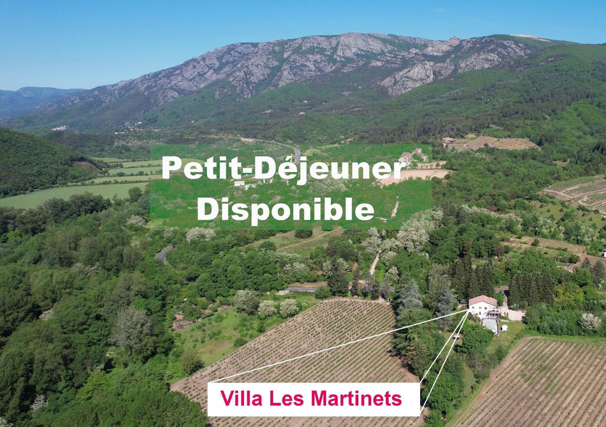 Villa Les Martinets-Piscine-Jacuzzi-Voie Verte-Gorges D'Heric-Massif Du Caroux Mons Olargues 34600 Le Poujol-sur-Orb ภายนอก รูปภาพ